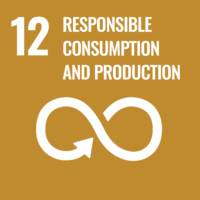 agenda onu 2030 consumo responsabile